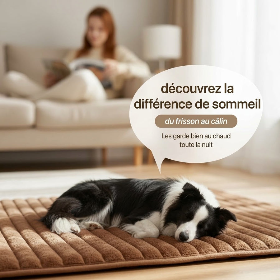 Tapis auto-chauffant Féliano pour chat