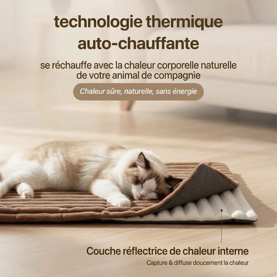 Tapis auto-chauffant Féliano pour chat