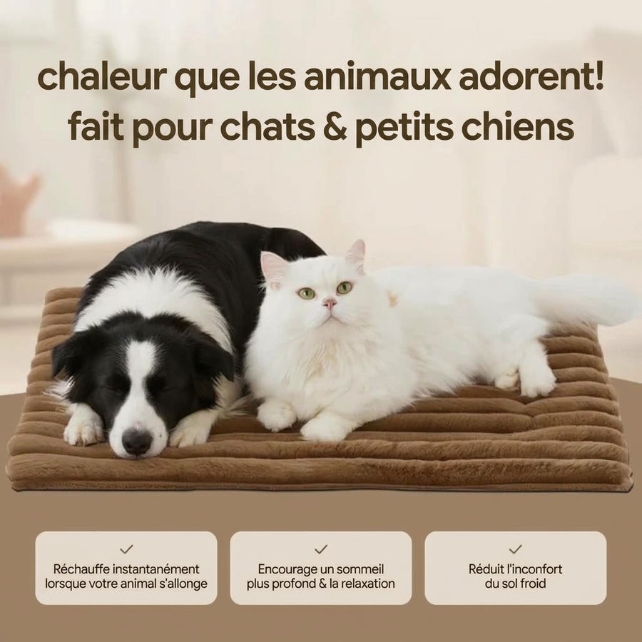 Tapis auto-chauffant Féliano pour chat