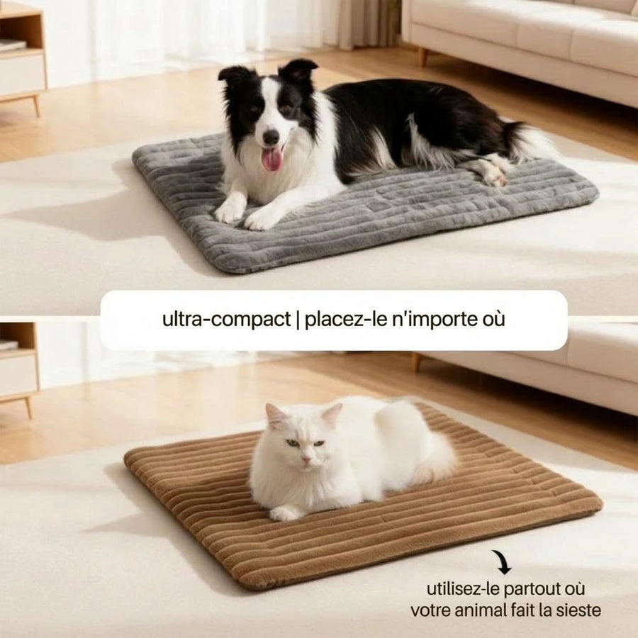 Tapis auto-chauffant Féliano pour chat